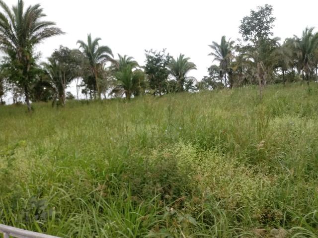 Fazenda para Pecuária em Livramento - Foto 2