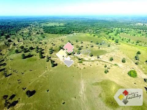Fazenda rural à venda, zona rural, poconé - . - Foto 3