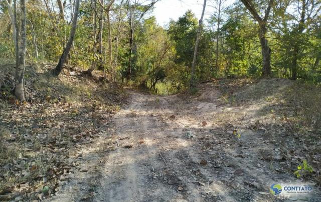 Fazenda 92 Ha toda formada e divisao de pasto - Foto 8