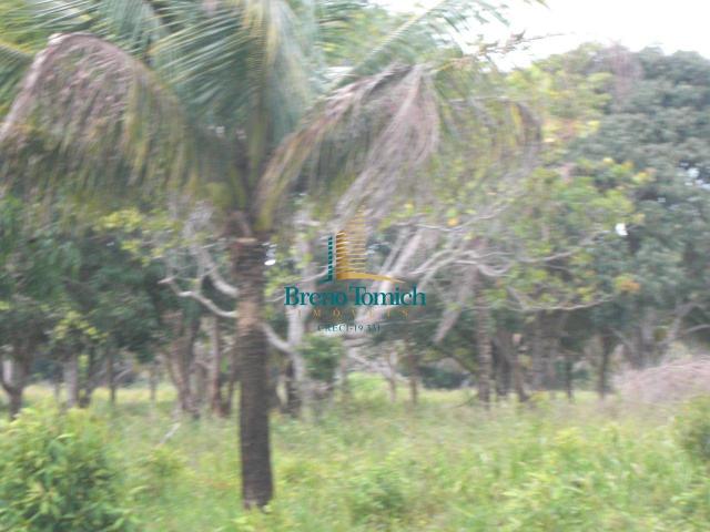 Área à venda, 900000 m² por r$ 3.000.000 - 7km do centro de porto seguro - porto seguro/ba - Foto 9