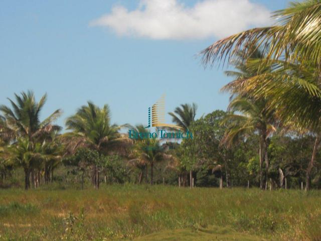 Área à venda, 900000 m² por r$ 3.000.000 - 7km do centro de porto seguro - porto seguro/ba - Foto 7