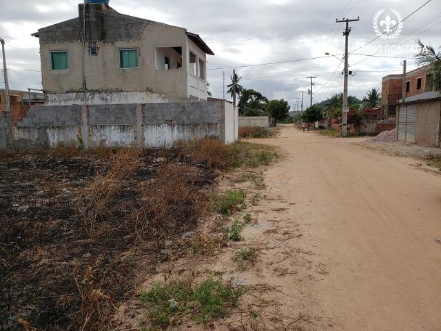 Excelente terreno com 157 m², bem localizado em São José da Coroa Grande - Foto 4