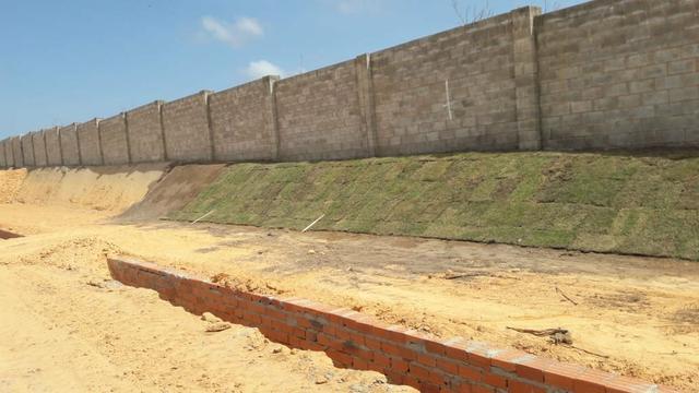 Paisagismo e manutenção - Foto 3
