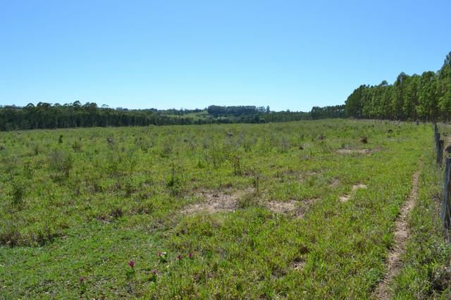 Sorocaba Região Fazenda 190 Alqueires
