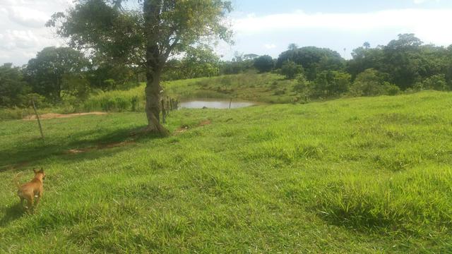 Vendo Chácara 5 alqueires - Foto 4