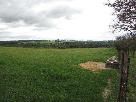 Sorocaba Região Lindo Haras 36 Alqueires - Foto 3
