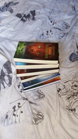 Vendo ou troco coleção de livros Gatos Guerreiros - Foto 2