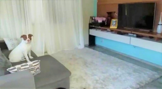 Oportunidade! Vendo Casa em Portal de Jacaraípe com 555m² - R$ 890.000 - Foto 9