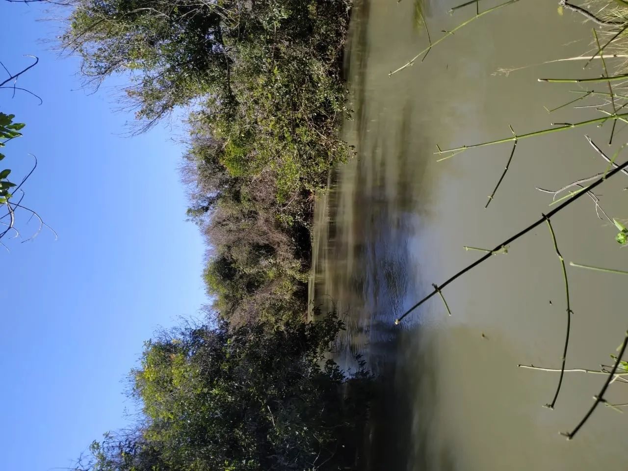 Linda FazenDa em Chapadao - Foto 4