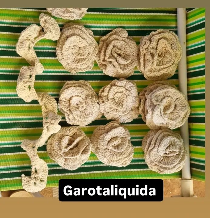Flores de Crochê - Decoração e Artesanato