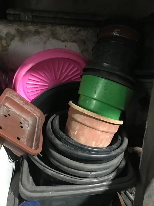 Lote de vasos de plástico para plantas + base de madeira com rodizios.