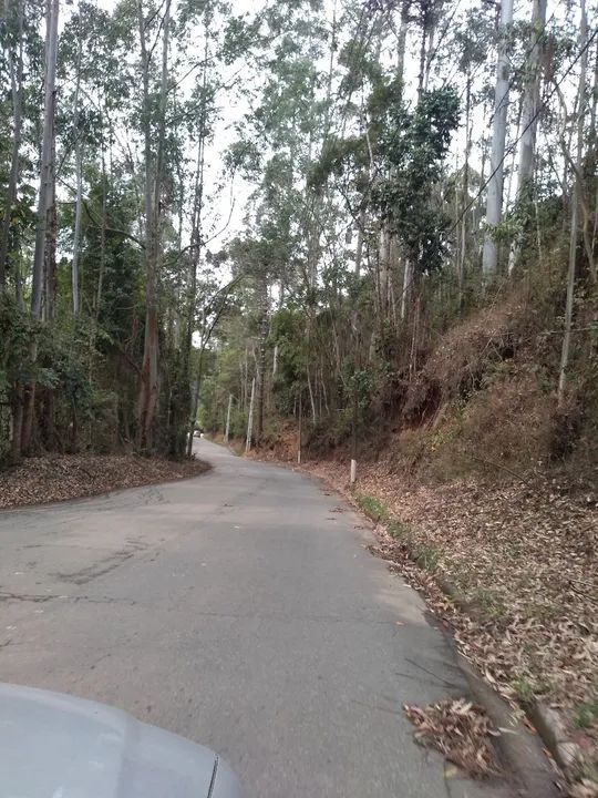 Terreno, Petrópolis,5 distrito; - Foto 4