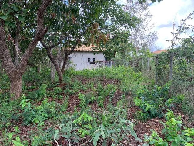 Chácara 1.000m², casa simples, com agua e luz, Jaboticatubas. - Foto 5