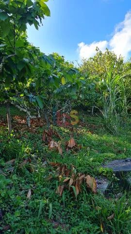 Área com 18 ha no Banco da Vitória - Foto 2