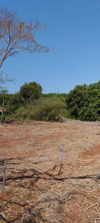 Sítio com 22.800m2 em Bady Bassitt  - Foto 6