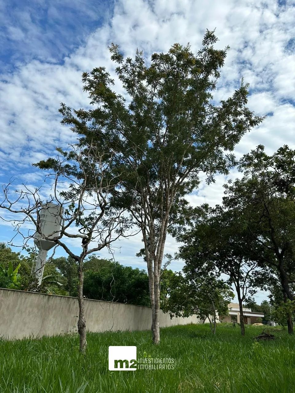 Lote no Residencial Villa Verde - Senador Canedo - Foto 4