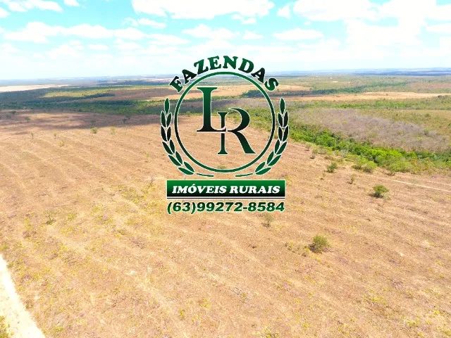 Fazenda Tocantins 130 Alqueires Lavoura