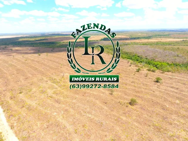 Fazenda Tocantins 130 Alqueires Lavoura