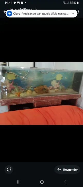 Aquário de água doce completo