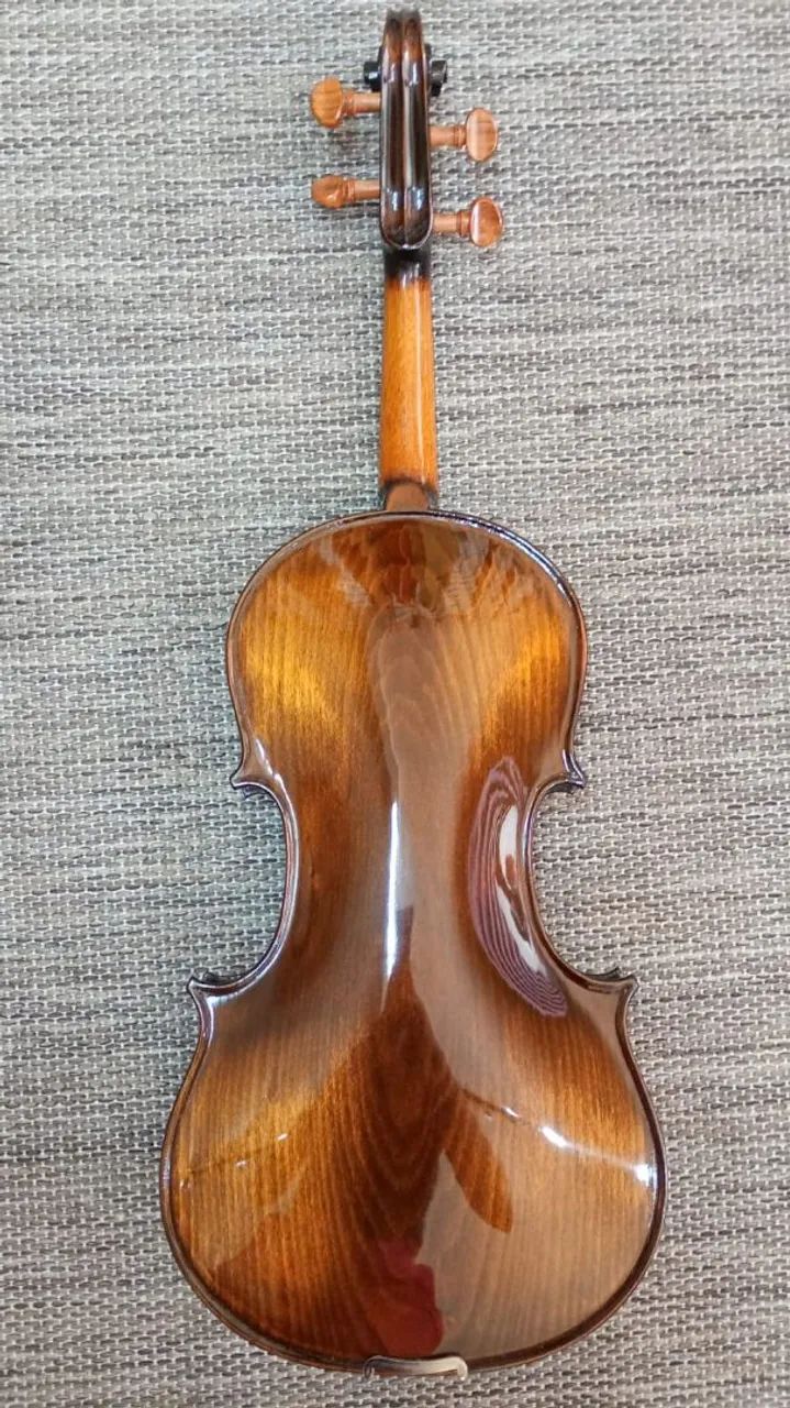 Viola Rolim Orquestra 40  - Foto 3