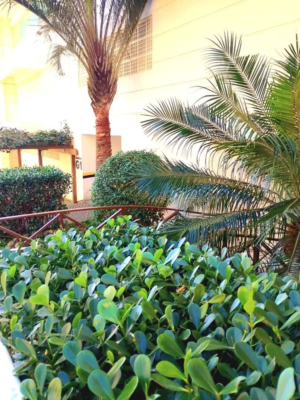 Jardineiro em Florianópolis  - Foto 4