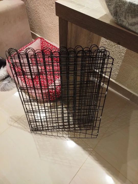 Cercado/Playpen para Cães - Foto 2