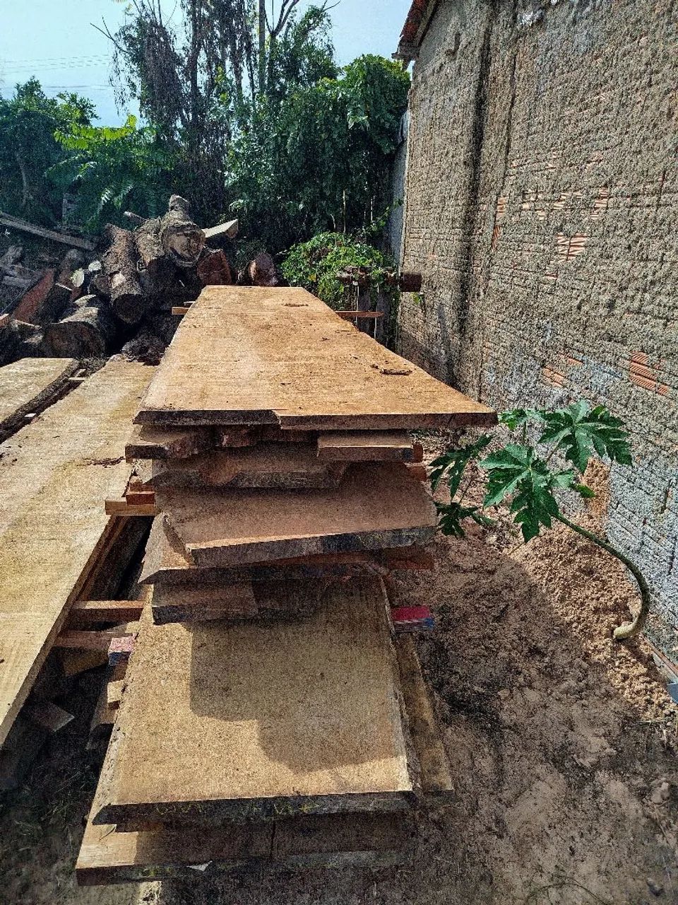 Wood planks64294296205570120