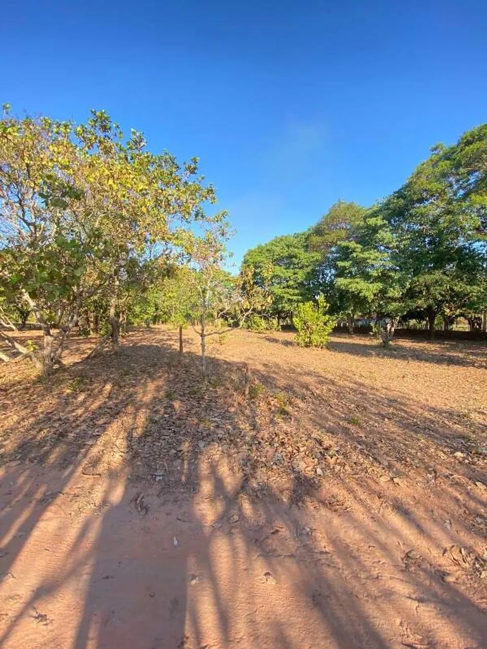 Sítio para aluguel, 3 quartos, 3 suítes, Santa Teresa - Teresina/PI - Foto 4