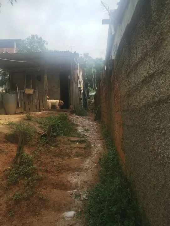 Terreno 5x25 - Ótima Oportunidade! - Foto 2