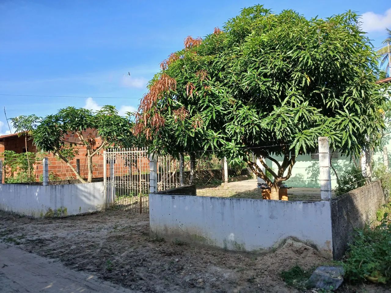 Vendo chácara pequena no povoado estancinha, município de itaporanga djuda  - Foto 2