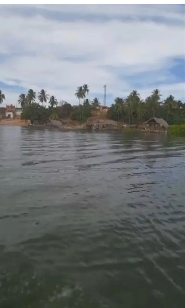 Foto - Piaçabuçu - 
