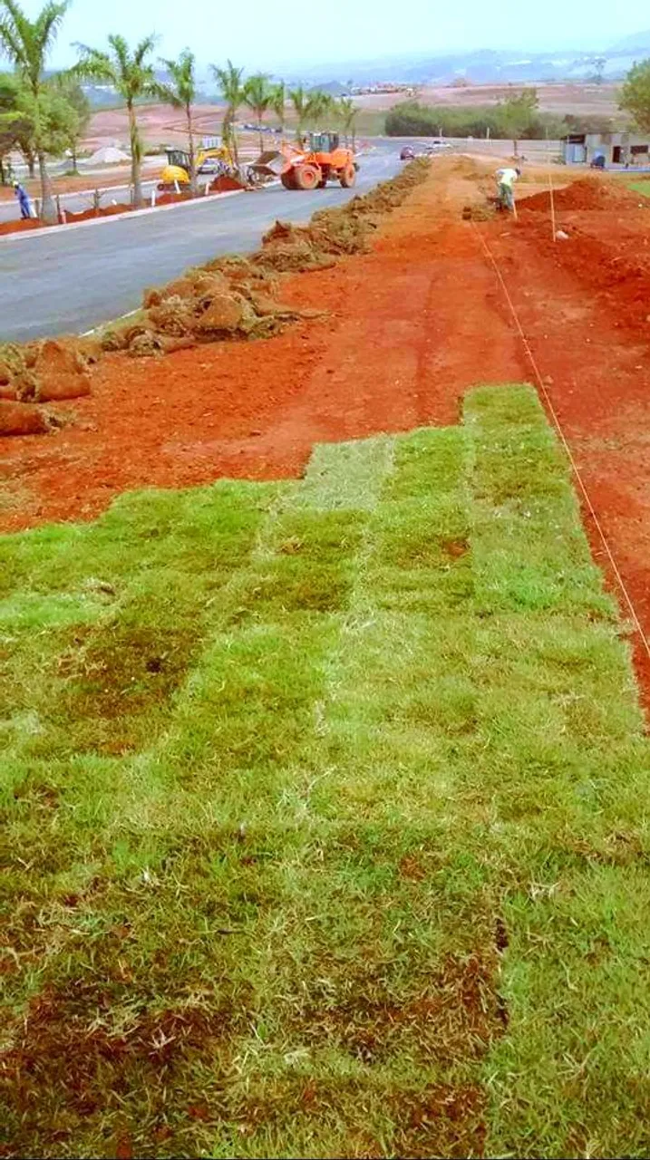 Gramado em Placas - Instalação Rápida e Eficiente