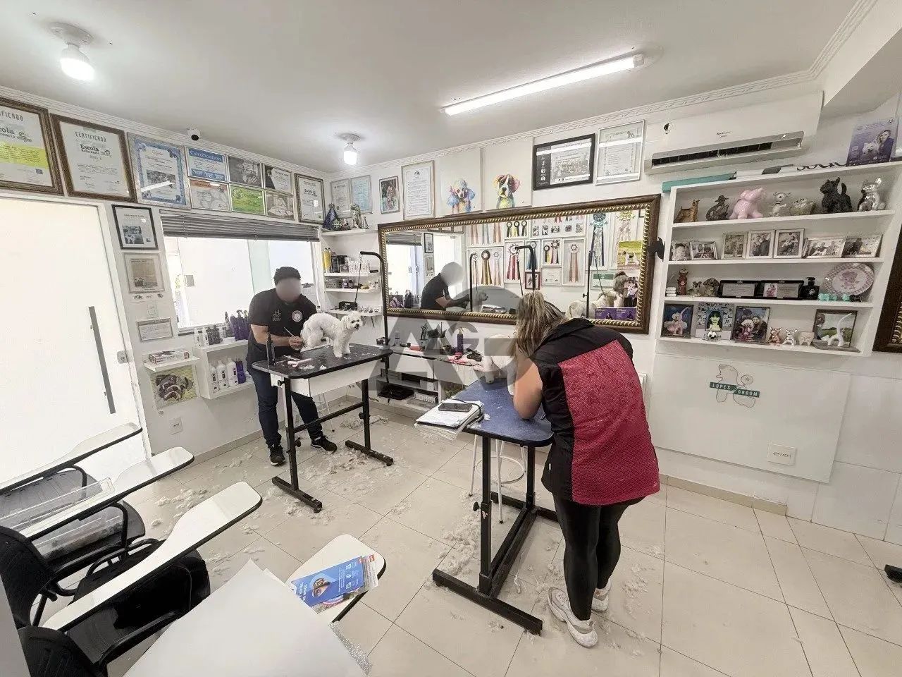 Casa Comercial | 100% Térrea | Centro | Ótima Versatilidade | em Serra Negra-SP - Foto 3
