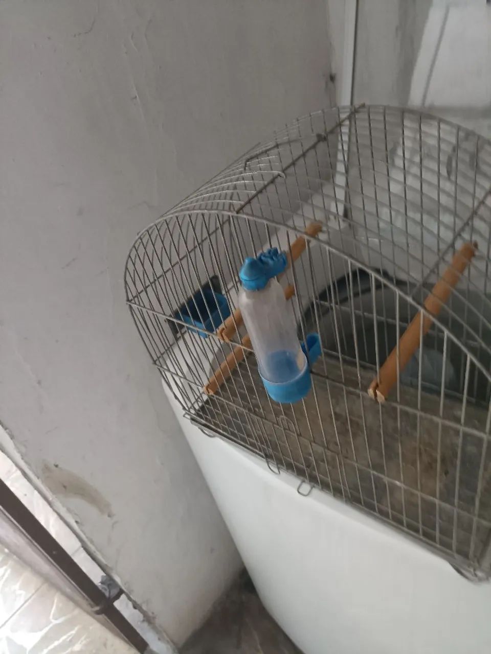 Gaiola para pássaros boa 