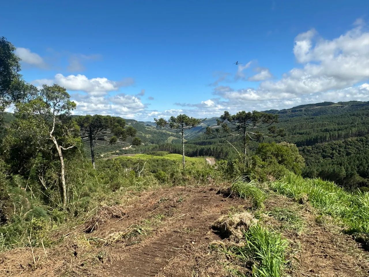 Sitio  com vista espetacular! - Foto 11