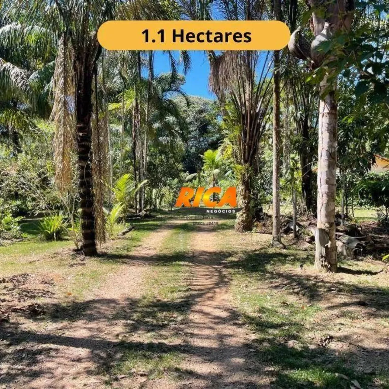 Chácara à Venda Um Refúgio em Meio à Natureza Preservada! A apenas 11 km de Porto Velho,