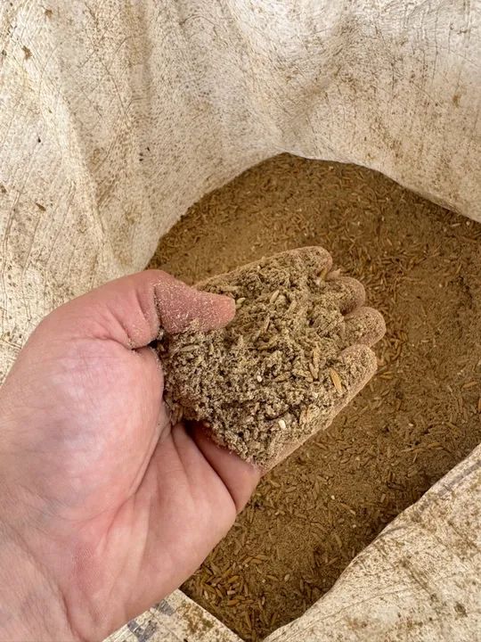 Raçao de Arroz - Varredura de Arroz - Saco