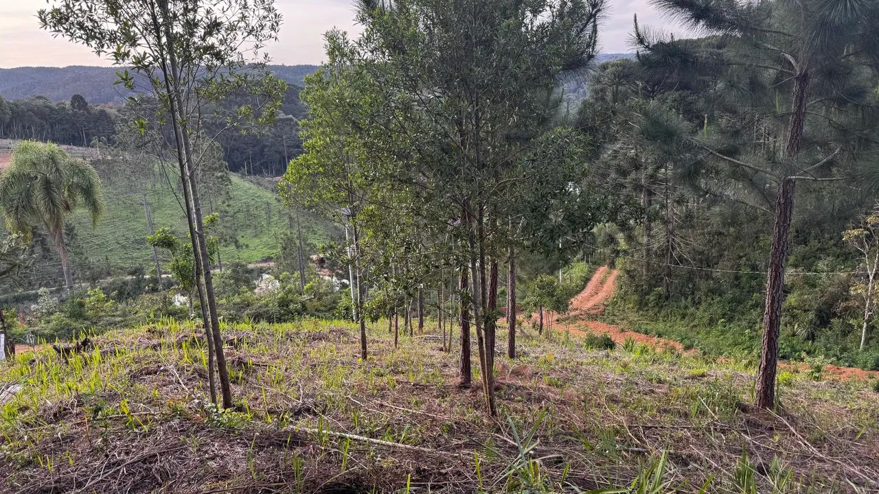 Chácara R$35.000 - Foto 4