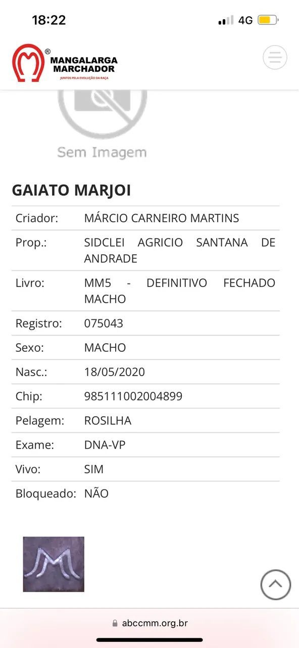 Cavalo mangalarga marchador com registro no mangalarga marchador. - Foto 5