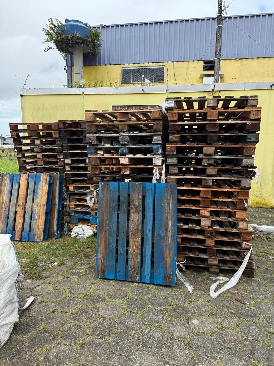 Pallet madeira pbr - Foto 3