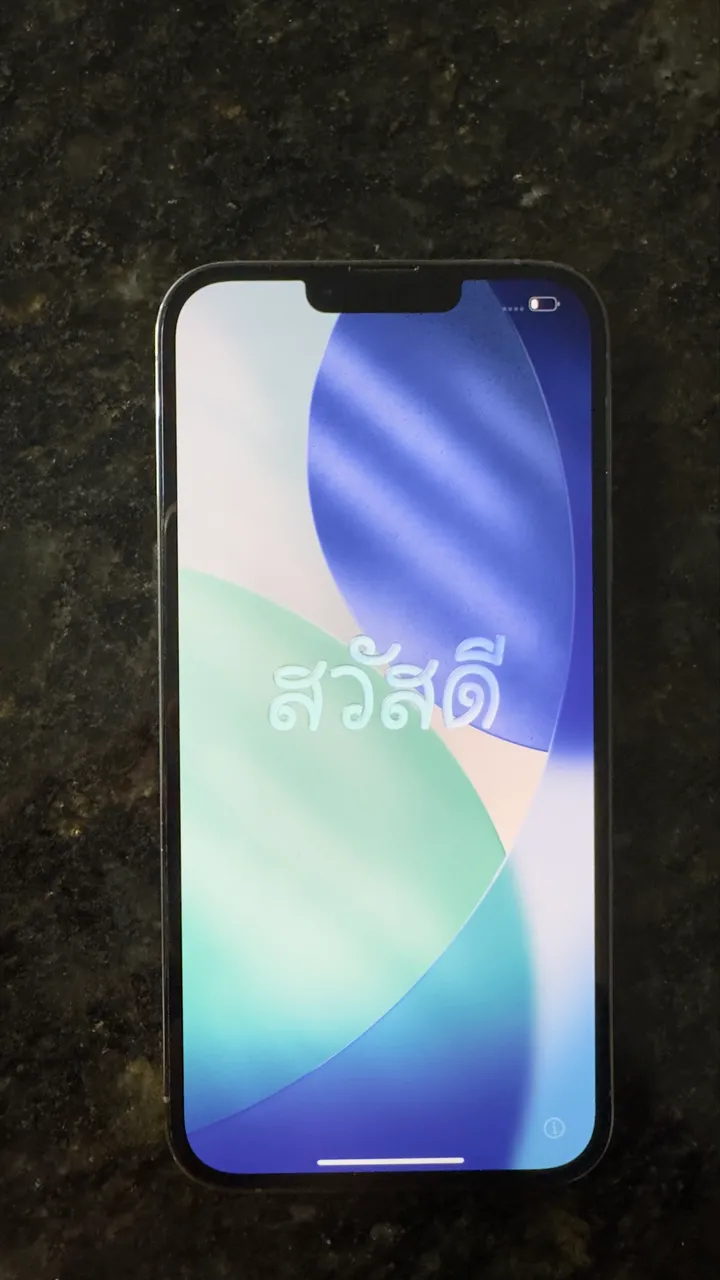 Celulares APPLE IPHONE 13 PRO MAX Usados, seminovos e Novos no Brasil