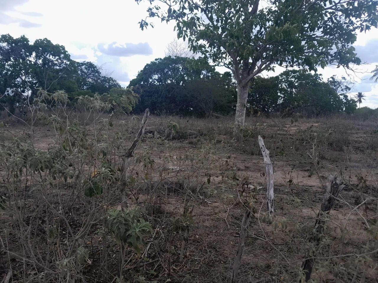 Tarefa em retiro coração de Maria leia descrição  - Foto 3