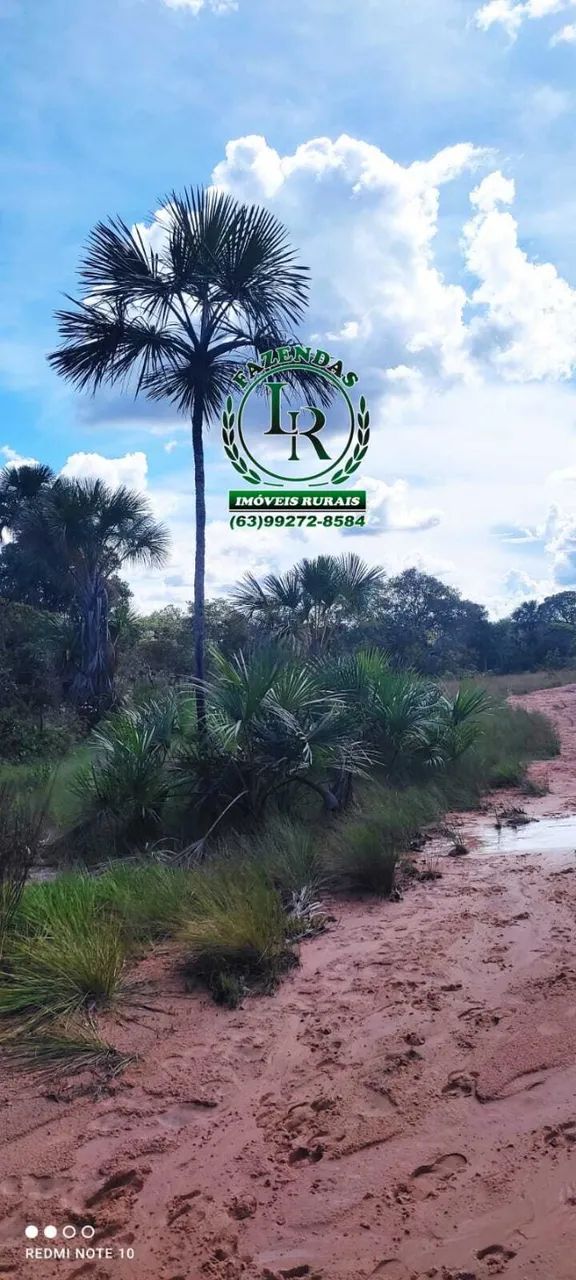 Fazenda 1.194 Alqueires Plana Dupla Aptidão - Foto 3