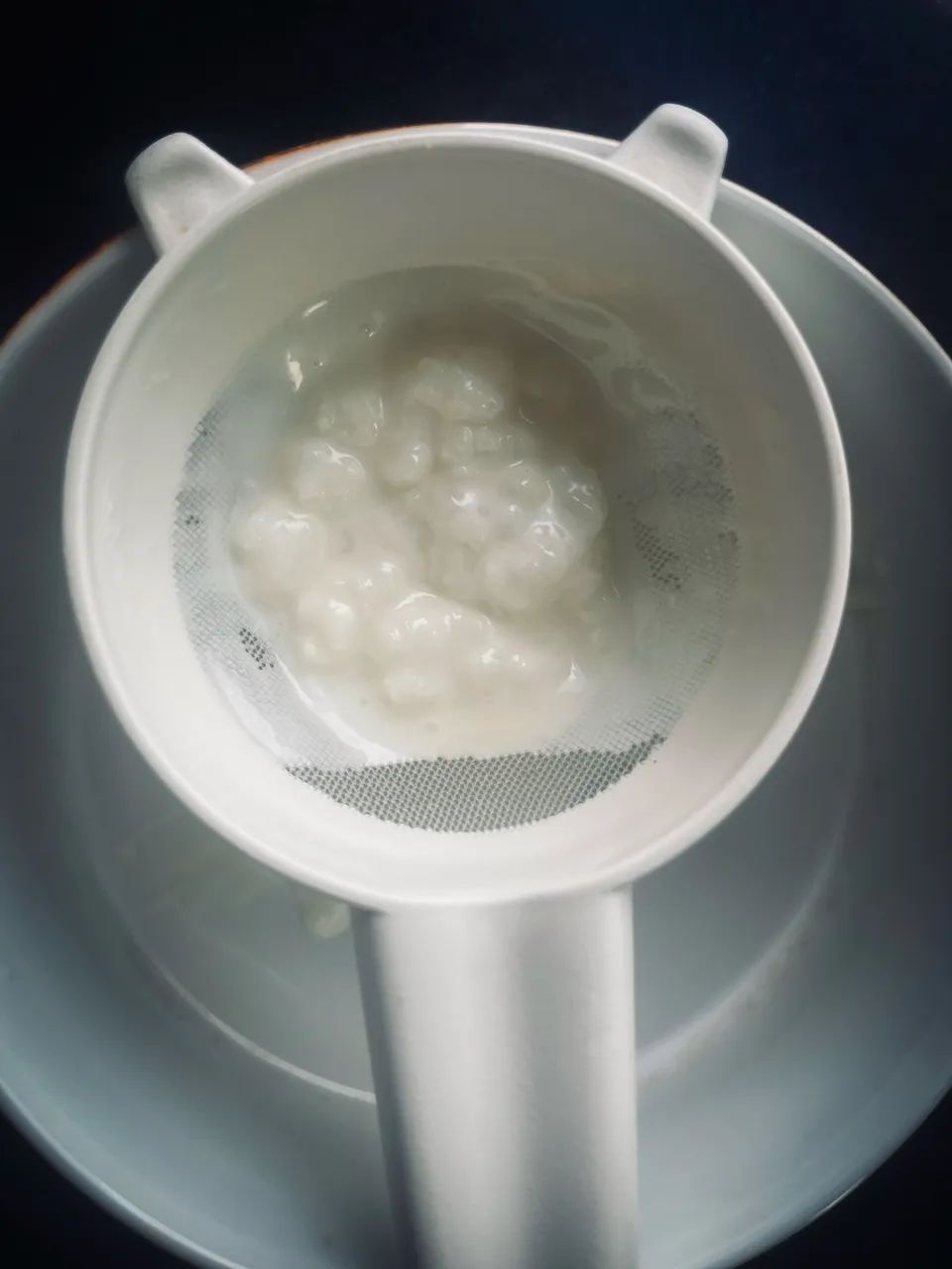 KEFIR de Leite - Foto 2