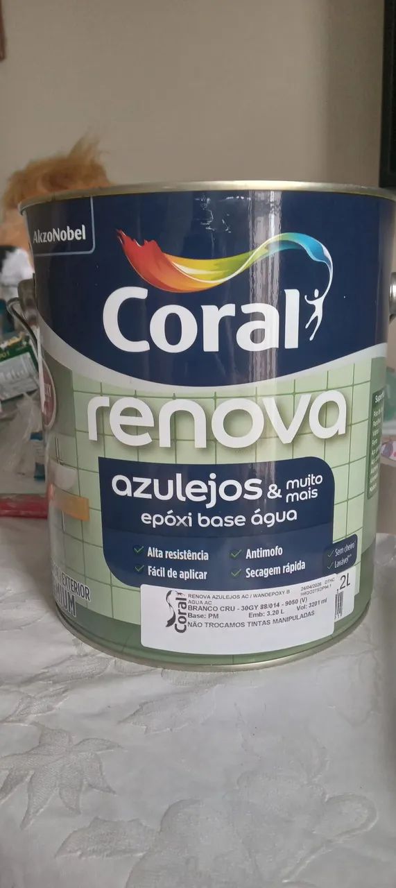 PINTOR PROFISSIONAL  - Foto 2