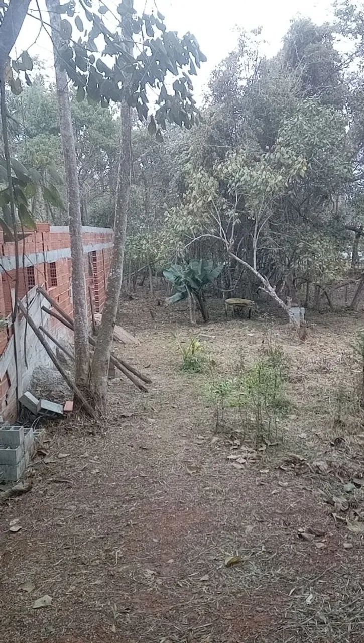 Foto - Mogi das Cruzes - Jardim Armênia
