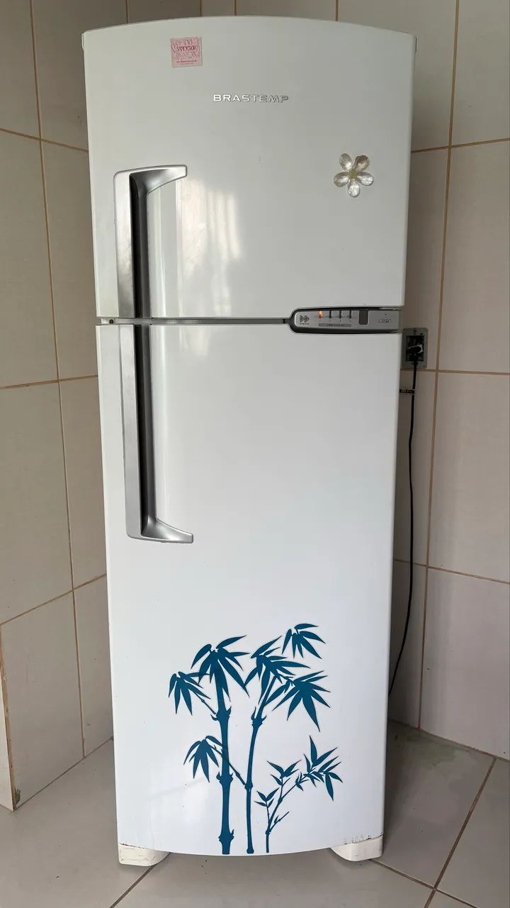Geladeira 220volts 