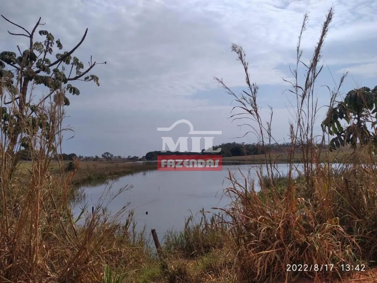 Fazenda em Santa Vitória - MG - 2.720 Há - Foto 3