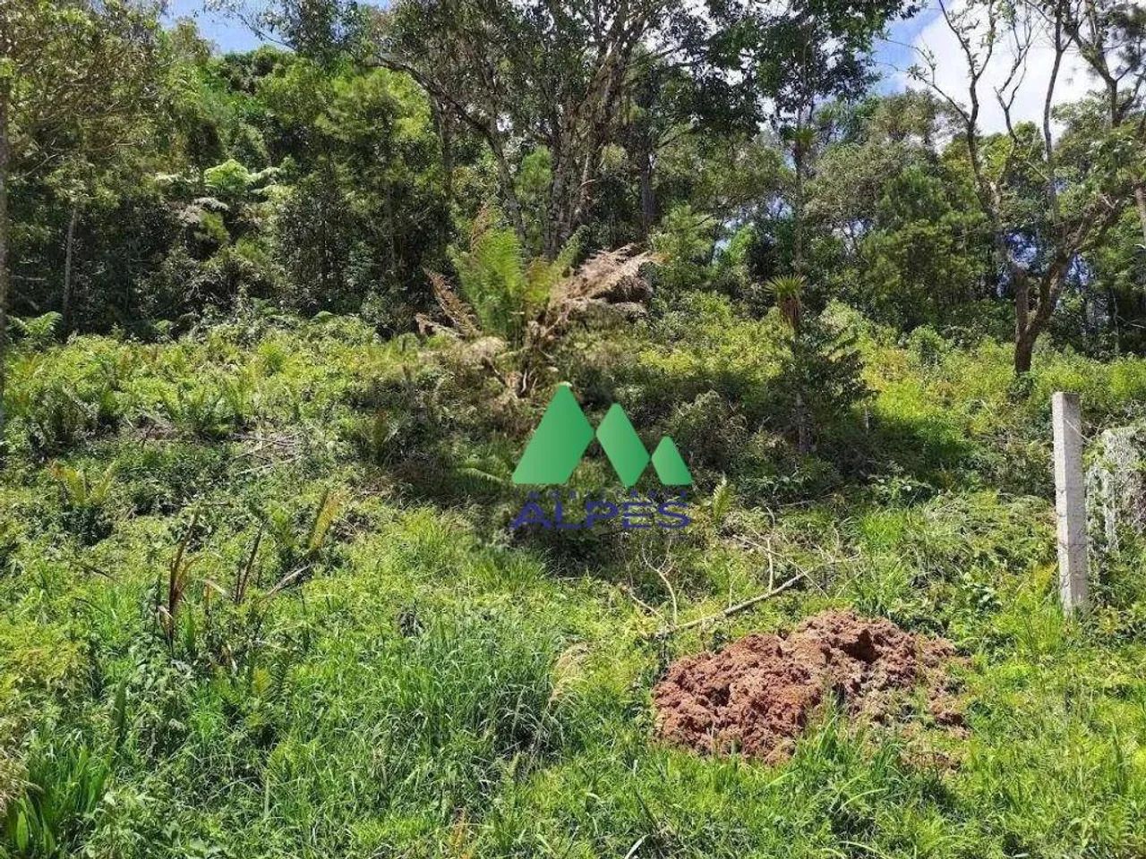 Chácara com Água e Próximo a BR 376 em Tijucas do Sul - Foto 3