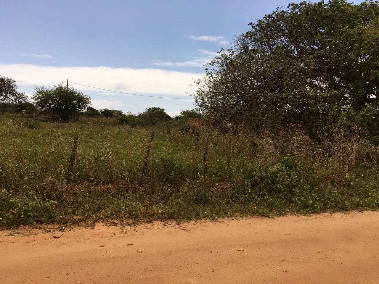 Terreno à Venda em Paracuru - Foto 5